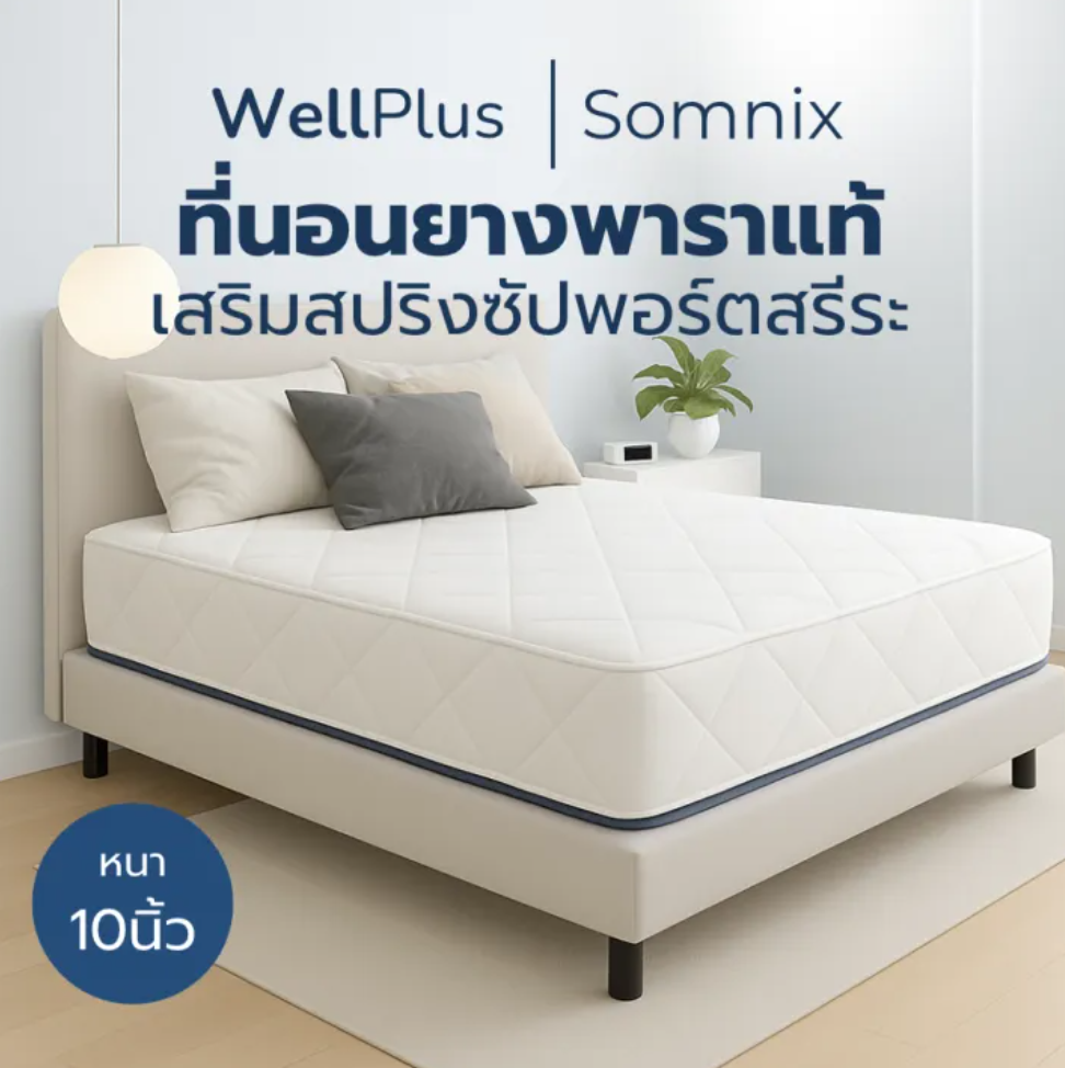 ที่นอนยางพาราแท้เสริมสปริงพรีเมียม รุ่น Somnix 3