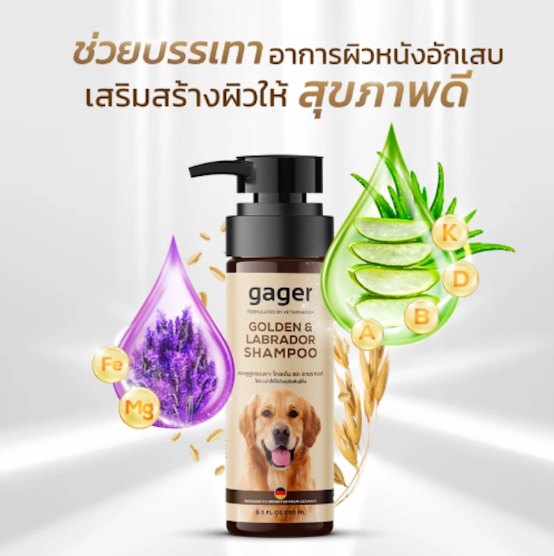 Golden & Labrador Shampoo 3