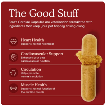 Pets Cardiac Support อาหารสุนัข 2