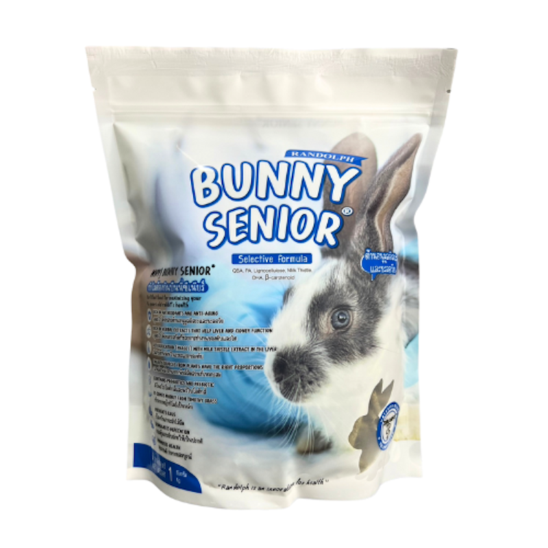BUNNY SENIOR 1