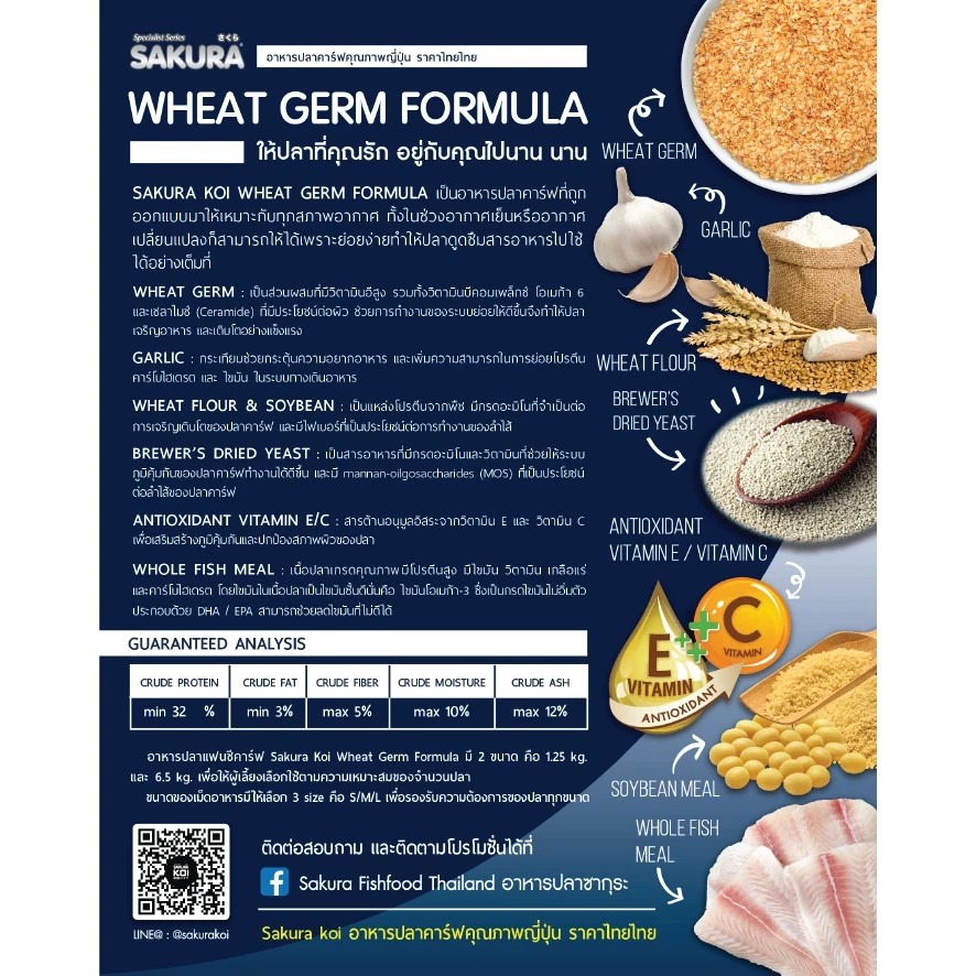 KOI WHEAT GERM FORMULA 3