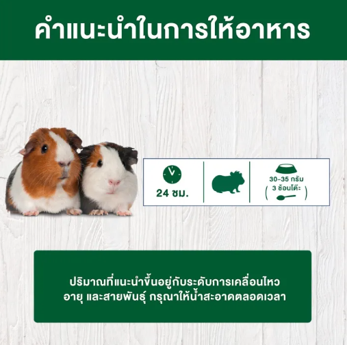 อาหารหนูแกสบี้ Menu Vital Guinea Pig 2
