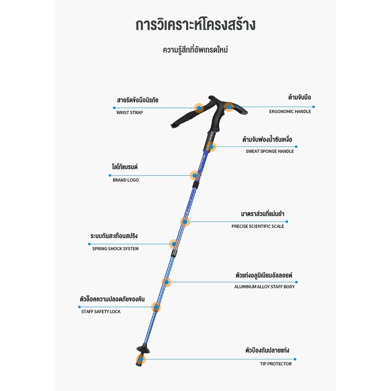ไม้เท้าเดินป่า 2