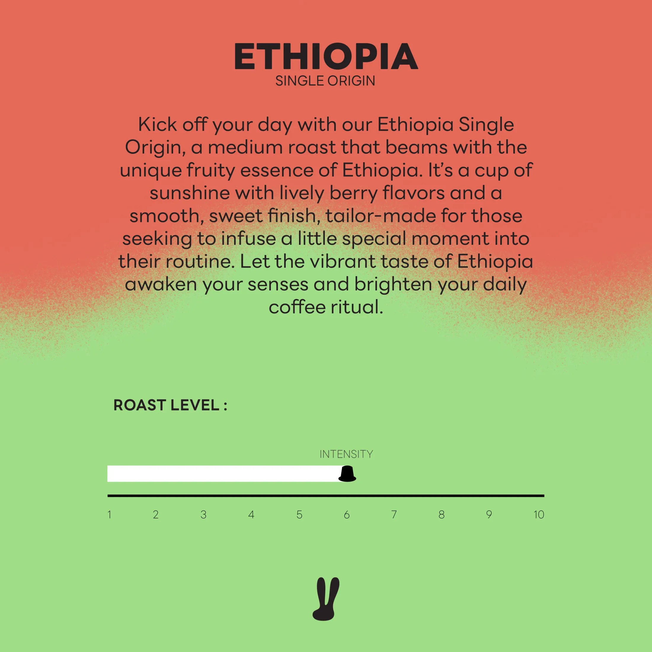 Coffee Capsule Ethiopia Single Origin 3