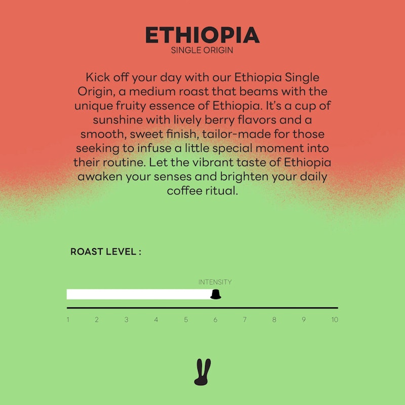 Coffee Capsule Ethiopia Single Origin 3