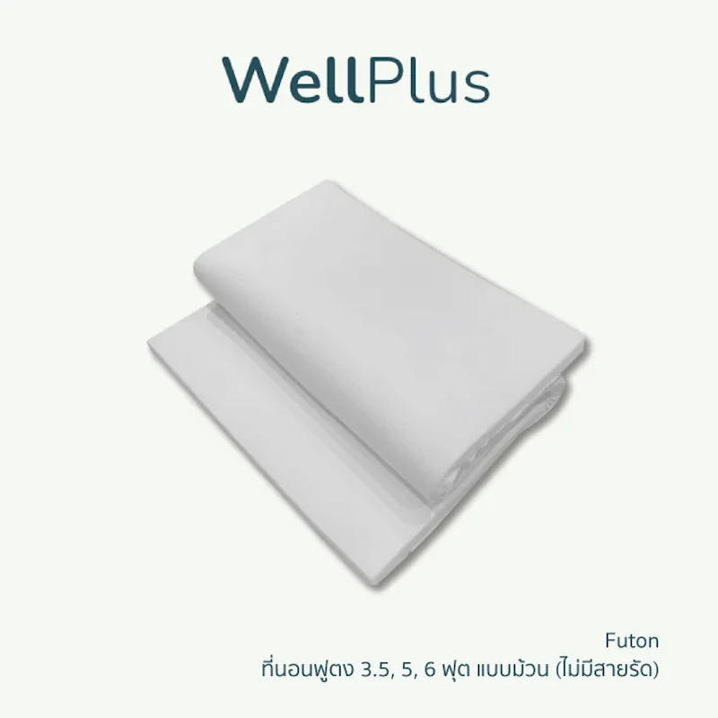 ที่นอนฟูตง Futon-Bed Hollow Conjugate 6 ฟุต 2