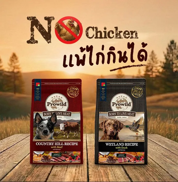 อาหารสุนัขโตถึงสุนัขสูงวัย Country Hill 3