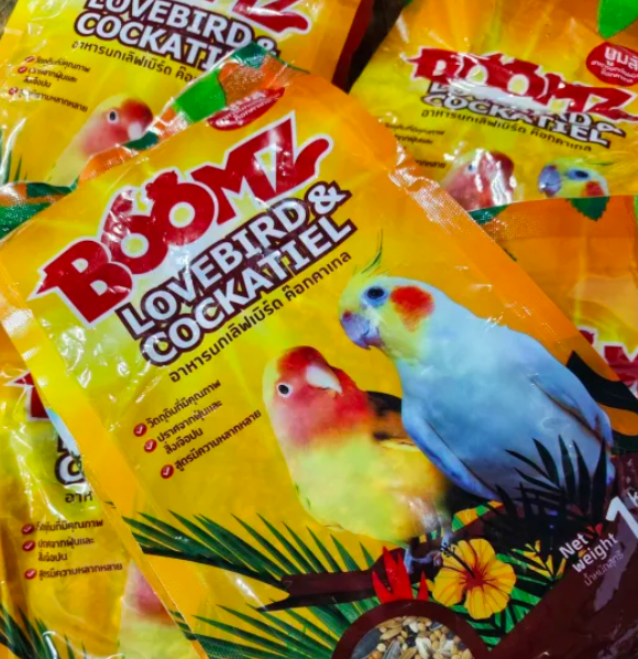 Lovebird & Cockatiel  2