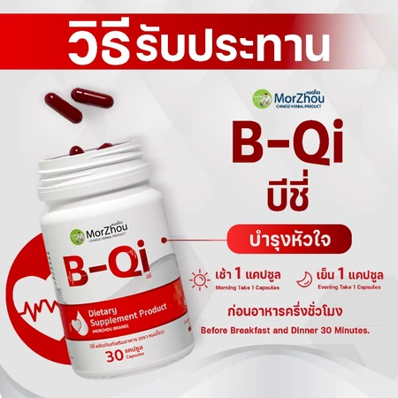 B-QI 3