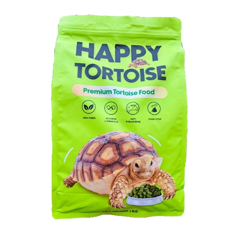Happy Tortoise 1