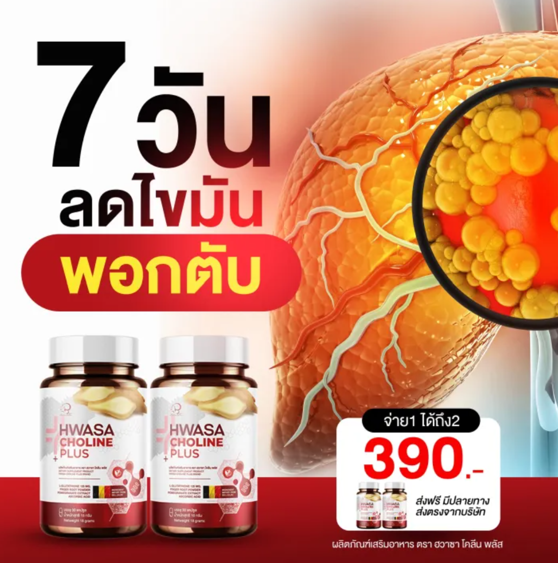 Choline Plus คอลลาเจนสำหรับบำรุงตับ 2