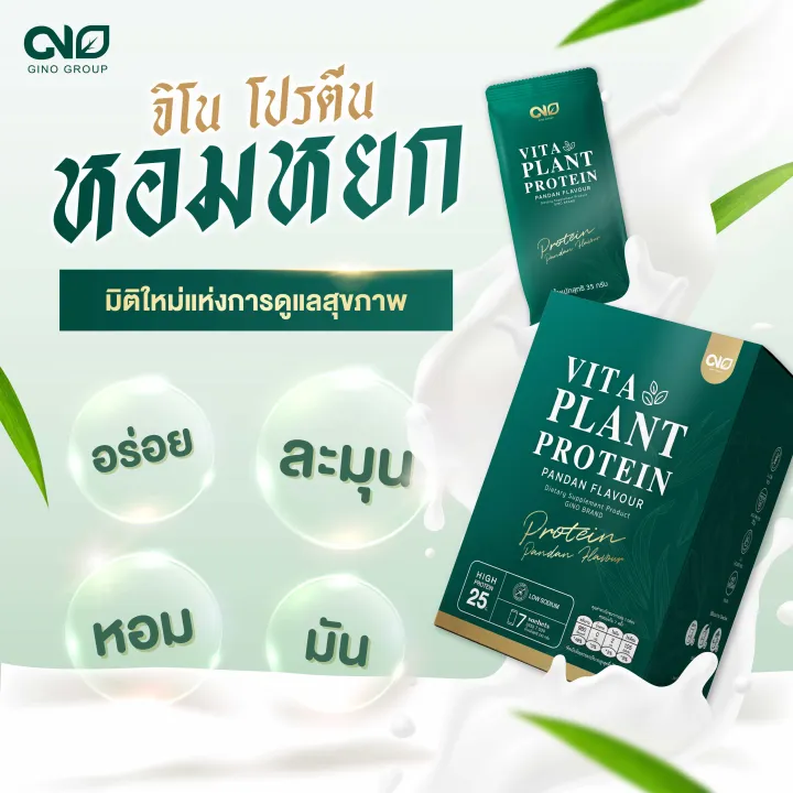 Vita Plant Protein 3
