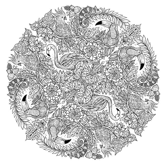 สมุดระบายสี ฝึกสมาธิ Nature Mandalas : A Colouring Meditation 2