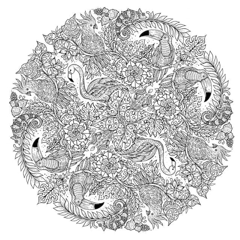 สมุดระบายสี ฝึกสมาธิ Nature Mandalas : A Colouring Meditation 2