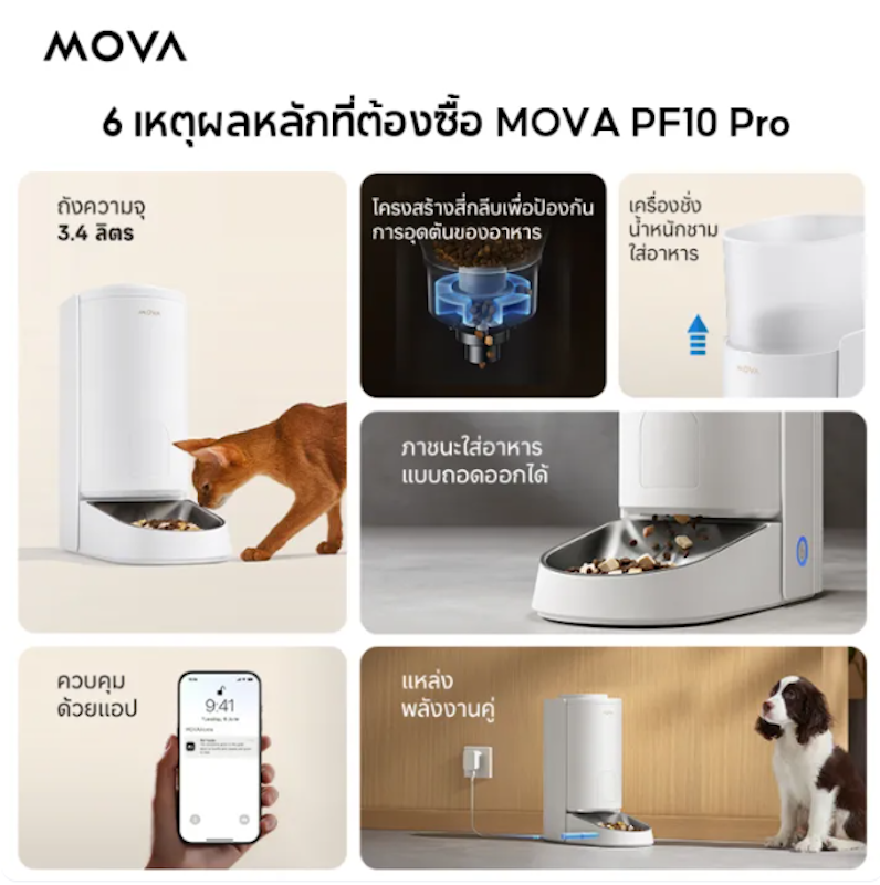 PF10Pro Pet Feeder Smart Alerts For Precise Feeding 2