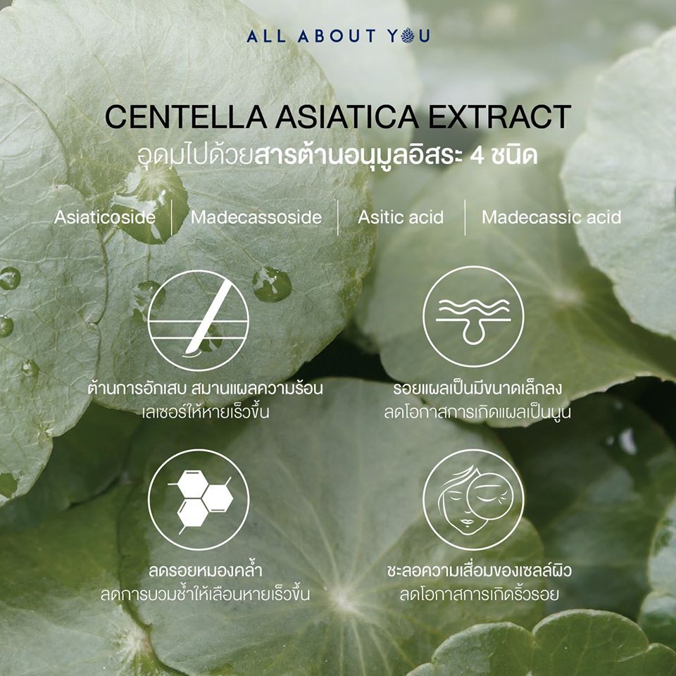 Madagascar Centella Watergel Sheet Ampoule Mask 3