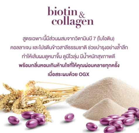 แชมพูแก้ผมเสีย Thick and Full Biotin Collagen Shampoo  2