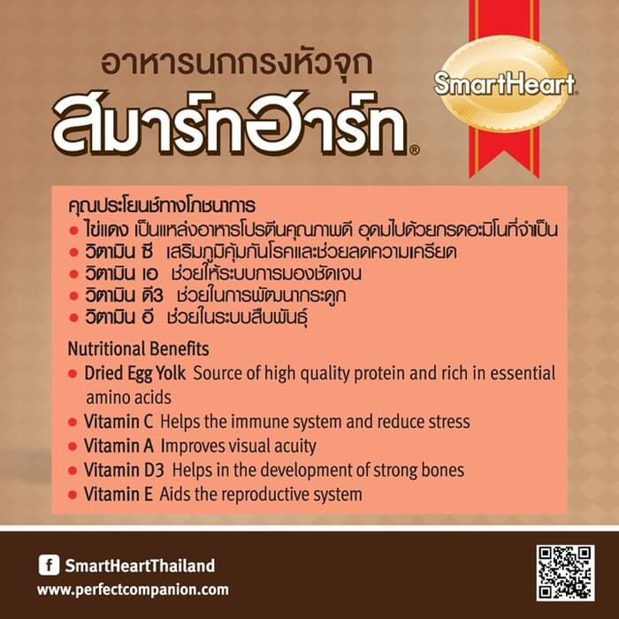 อาหารนกกรงหัวจุก สูตรเพิ่มพลังขยันร้อง 3