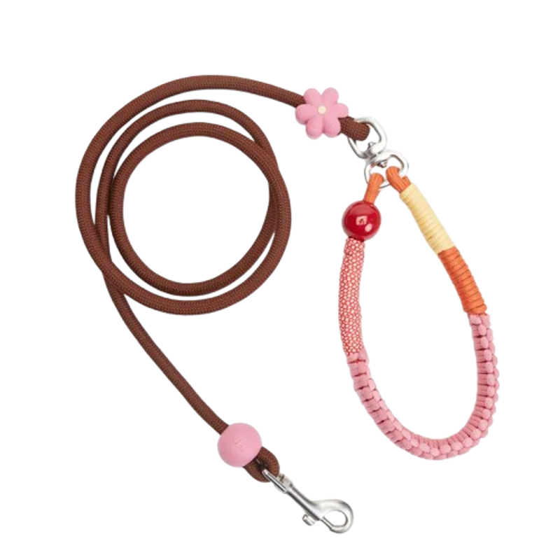 สายจูงสัตว์เลี้ยง Apple Pet Collar and Harness Signal Heart Pet Leashes 2