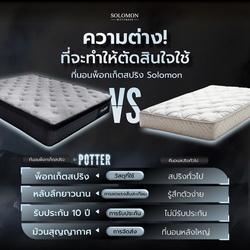 ที่นอนพ็อกเก็ตสปริง รุ่น POTTER 5