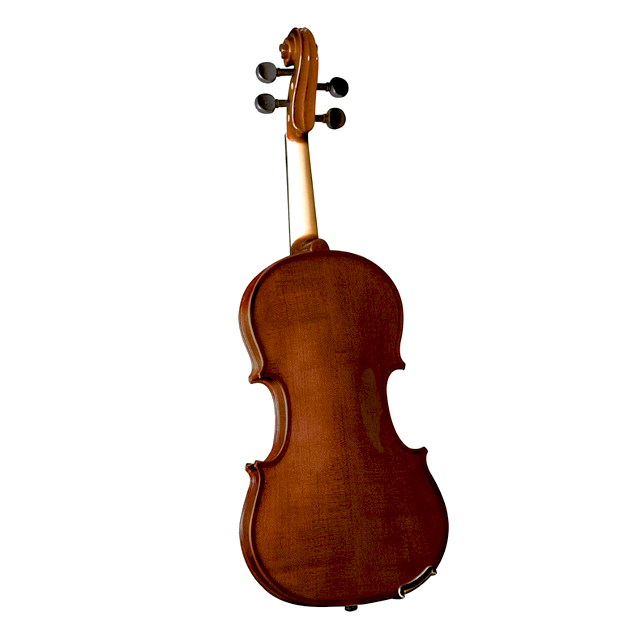 ไวโอลิน Violin 2