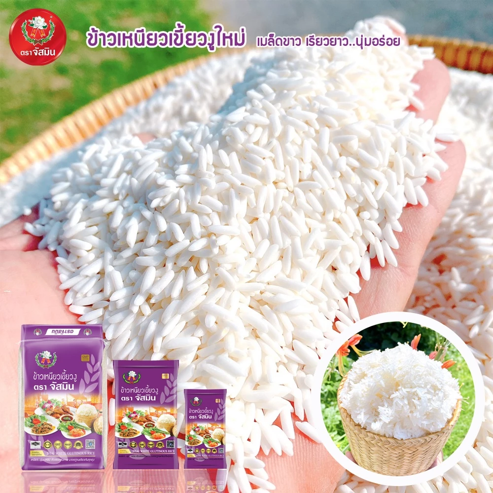 ข้าวเหนียวเขี้ยวงูใหม่ 4