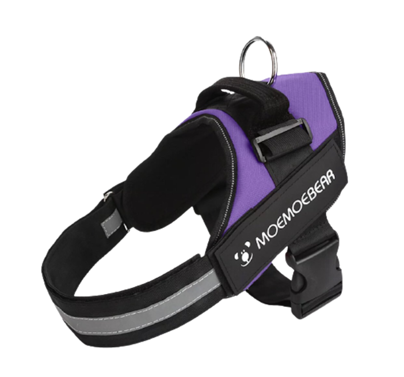 สายรัดอกสุนัข 1