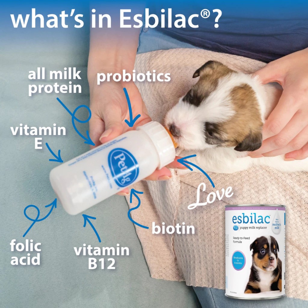 นมสำหรับสัตว์เลี้ยง Powder For Puppy  2