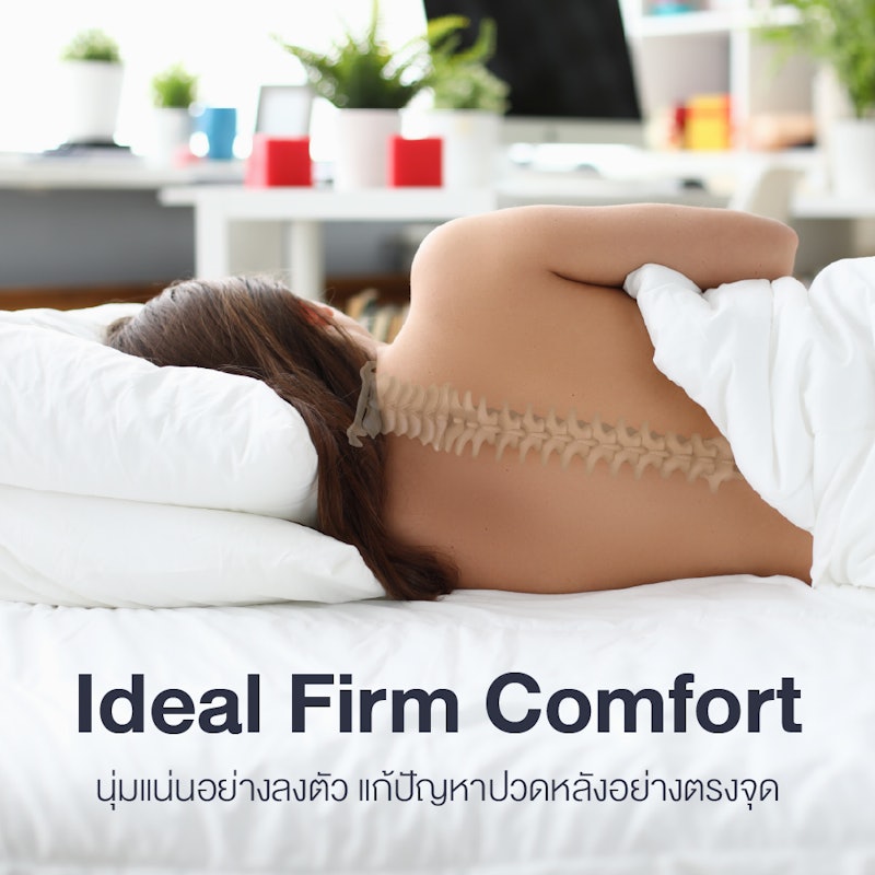 ที่นอนยางพาราแท้ รุ่น Intel I 3