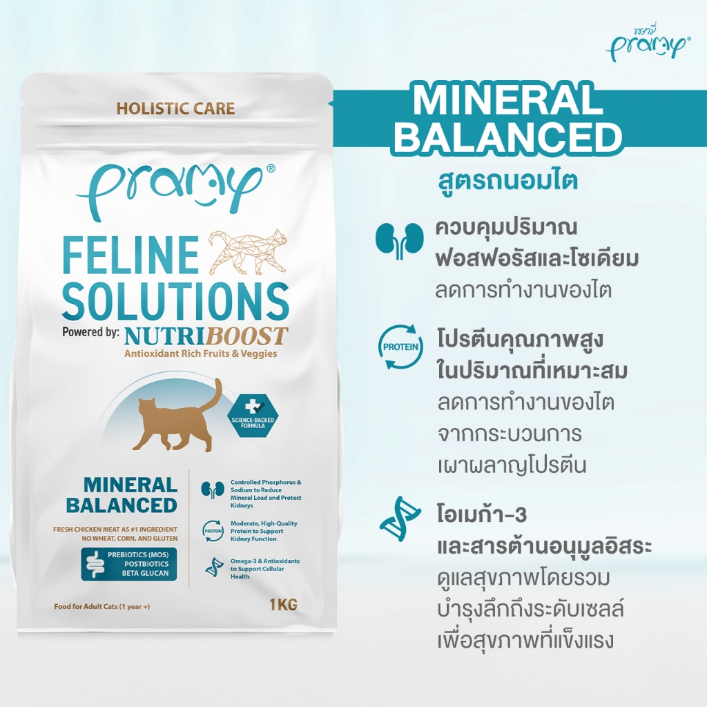 อาหารแมวสูตรเฉพาะทาง สูตรถนอมไต Feline Solutions 2