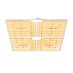ไฟปลูกต้นไม้ LED รุ่น SF4000