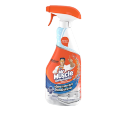 สเปรย์ทำความสะอาดห้องน้ำ Bathroom Cleaner Spray 3 in 1