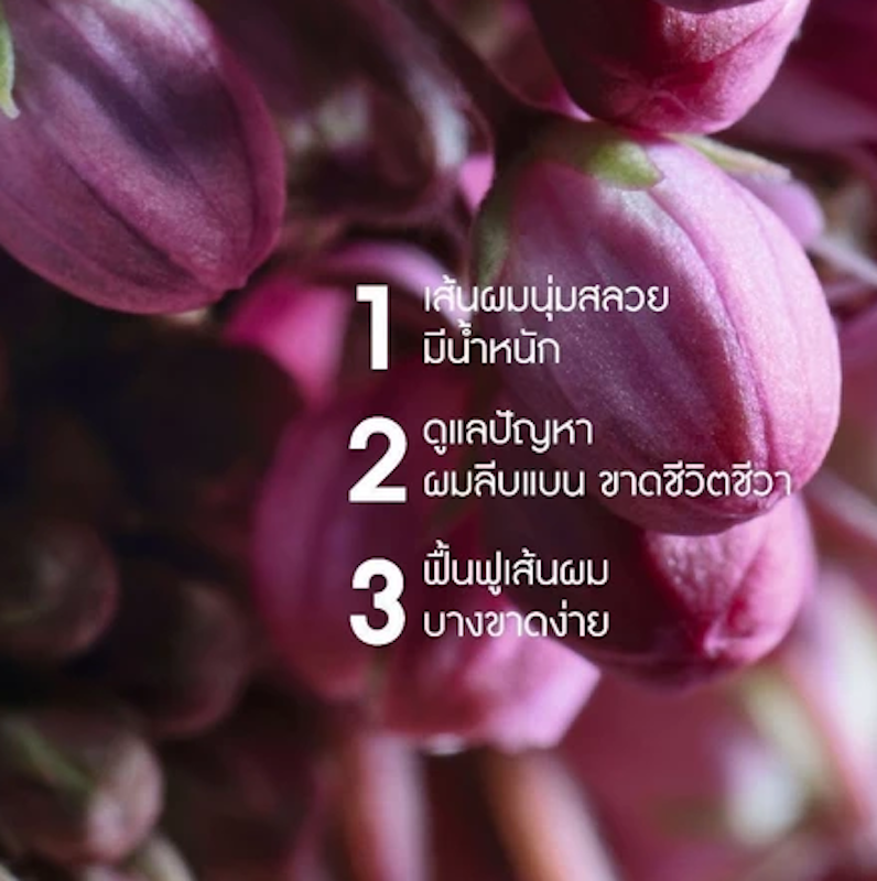Volume Shampoo แชมพูเพิ่มวอลลุ่ม 2