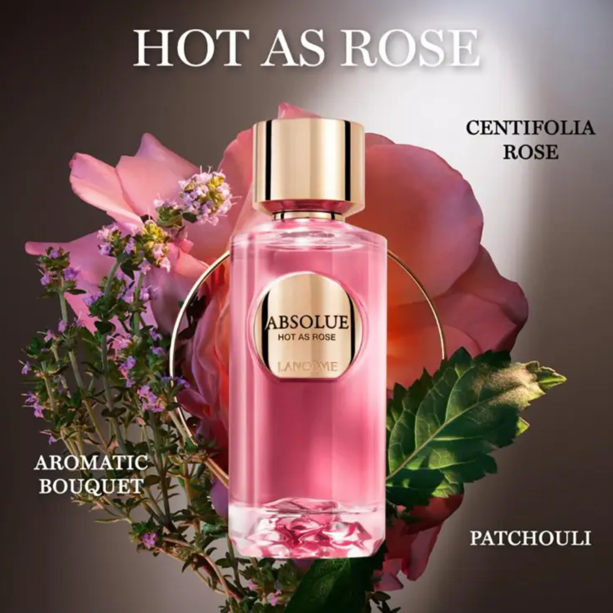 ABSOLUE LES PARFUM HOT AS ROSE 2