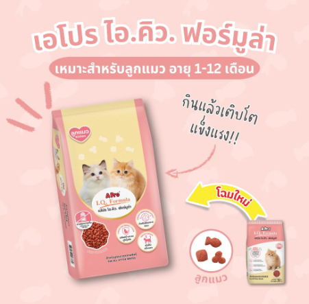 I.Q. Kitten 2