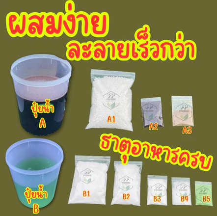 ปุ๋ย AB  2