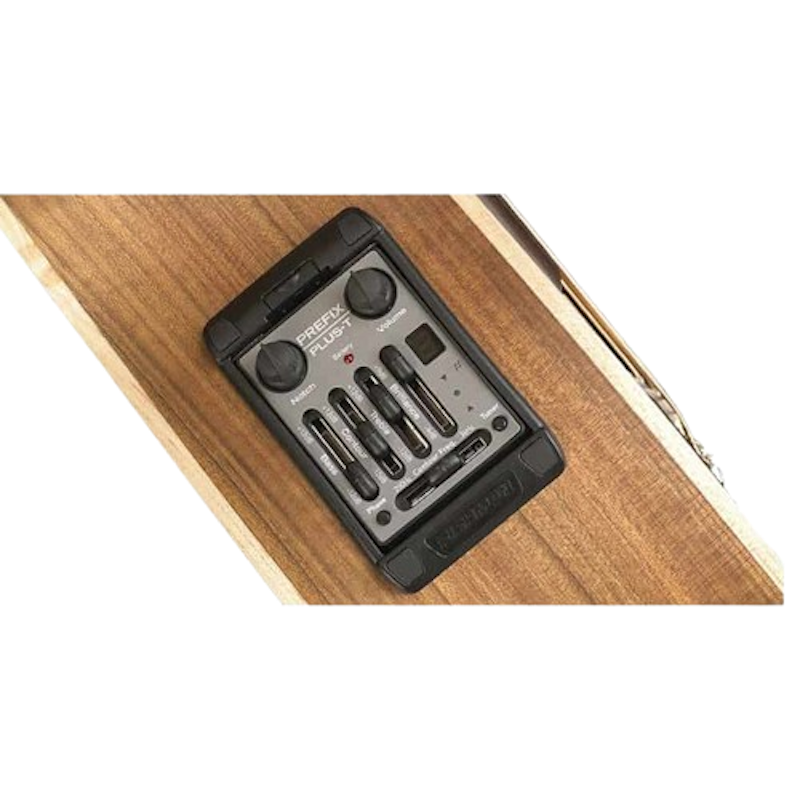 Alien Standard Acoustic Bass 5 String 3