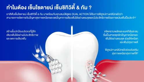 ยาสีฟัน ฟื้นฟูและปกป้องอาการเสียวฟัน Sensitivity & Gum  3