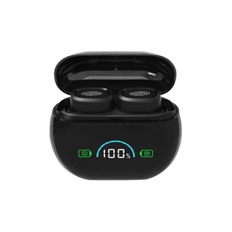 เครื่องช่วยฟัง Hearing Aids 1