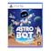 Team Asobi Astro Bot 1