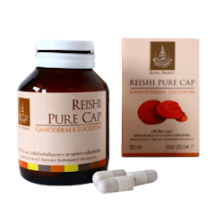 สมุนไพรจีน Reishi Pure Cap