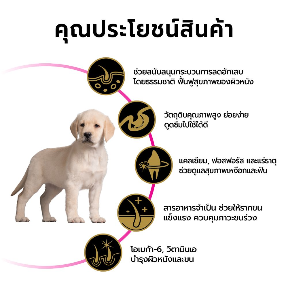 Pro Plan Dog อาหารสุนัข สูตร Sensitive Skin and Stomach 2