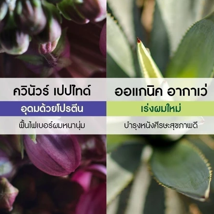 Volume Shampoo แชมพูเพิ่มวอลลุ่ม 3