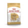 Royal Canin อาหารสุนัข Royal Canin สูตร Chihuahua 1