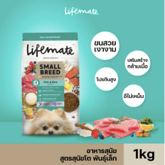 Adult Dog Small Breed 2