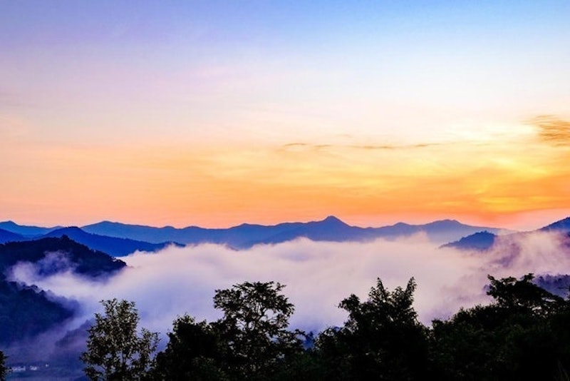 ที่พักดอยอินทนนท์ Chai Lai Orchid 4