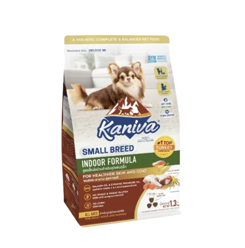 Indoor Small Breed Dog 1