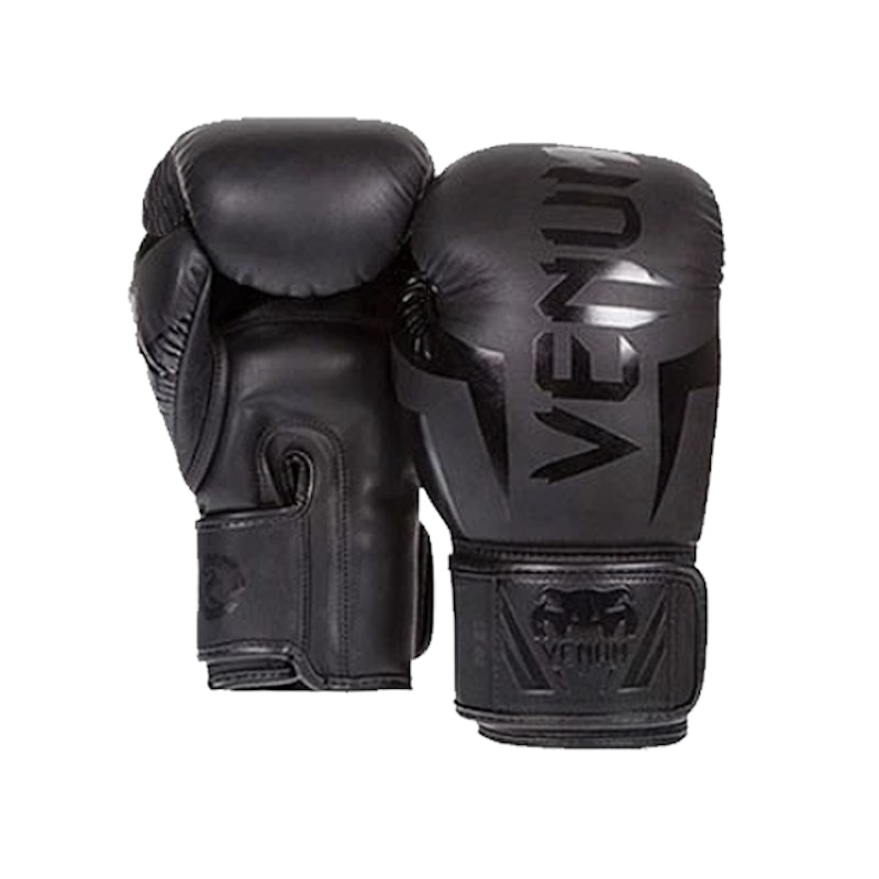 Boxing Muay Thai Training Challenger 2.0 1