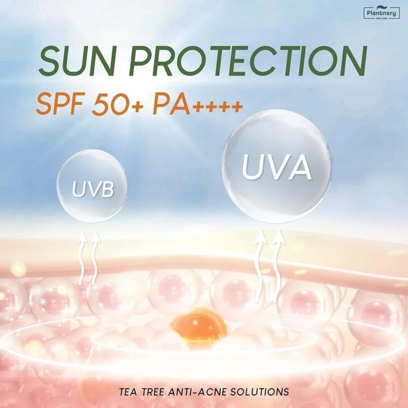 Tea Tree Sunscreen Acne Oil Control SPF 50+ PA++++ 2