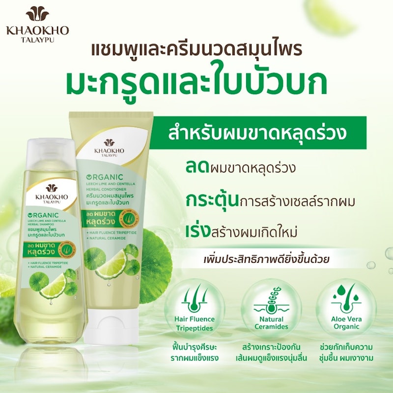 แชมพูปราศจากซิลิโคน Leech Lime & Centella Herbal Shampoo 2